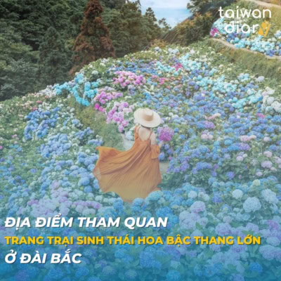 trang trai sinh thai hoa bac thang lon o dai bac