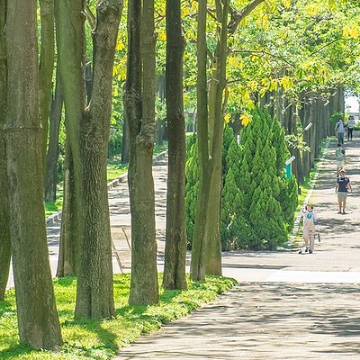 Yuan Ze Đại học Nguyên Trí